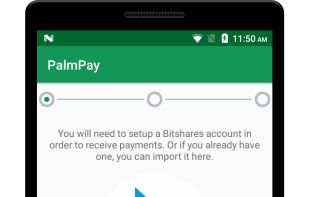 PalmPay screenshot 1