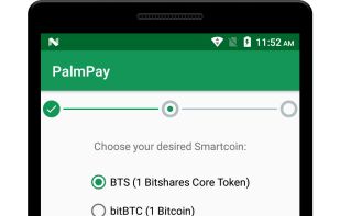 PalmPay screenshot 2