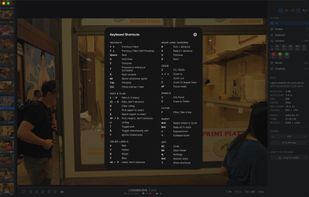 Palomino screenshot 2