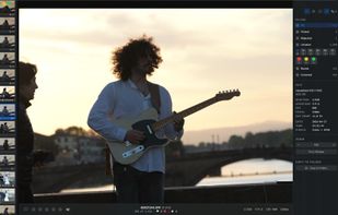 Palomino screenshot 3