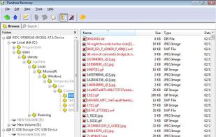Pandora Recovery screenshot 2