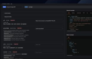 Pangolinfo Amazon MCP screenshot 2