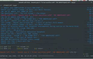 Pantheon Terminal running YouTube Music Player mpsyt