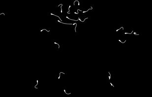 Paper.js screenshot 2