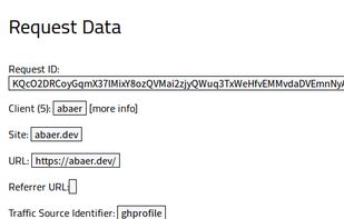 View more info about a specific visit to your site