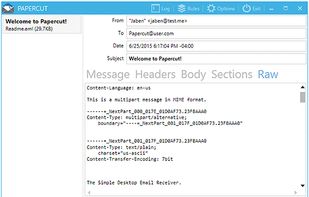 In Version 4 the Raw View Returns