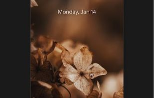 PaperSplash screenshot 2