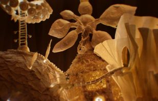 Papetura screenshot 1