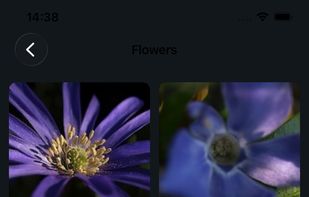 flower catalog