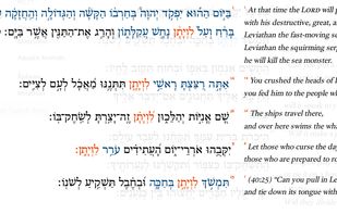 Viewing search results