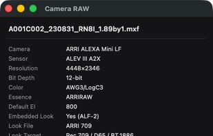ARRIRAW decoded with the official ARRI Image SDK