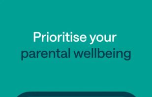 Pareful screenshot 2