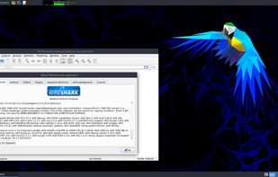 Parrot Security OS screenshot 1