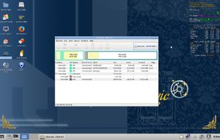 Parted Magic screenshot 1