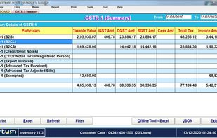 GST Reports