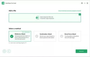 PassWiper for Excel screenshot 1