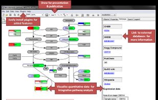 PathVisio screenshot 1