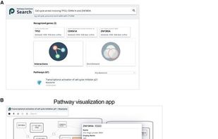Pathway Commons screenshot 1