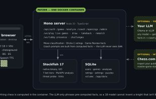Patzer screenshot 2