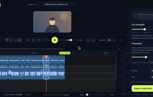 The Pausiq editor after Remove pauses: the silent gaps are cut from the video and audio tracks.