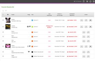 Pawfinity screenshot 3