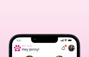 Addon and booking page