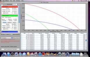 Pay It Down screenshot 1