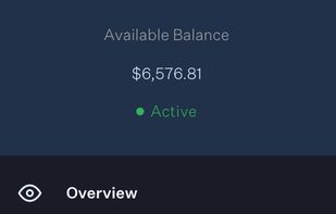 Payability screenshot 2