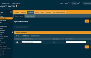 Payara Server Administration Console