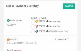 Payid19.com screenshot 1