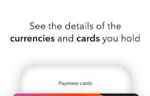 Payoneer screenshot 2