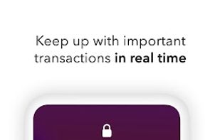 Payoneer screenshot 1