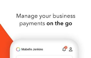 Payoneer screenshot 1