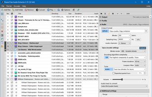 Pazera Free Audio Extractor screenshot 1