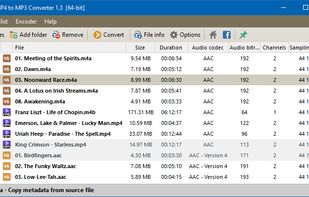 Pazera Free MP4 to MP3 Converter screenshot 2