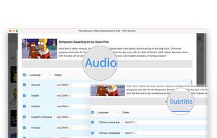 Pazu Disney + Video Downloader screenshot 1