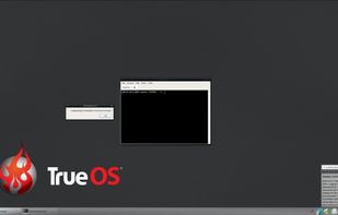 TrueOS screenshot 1