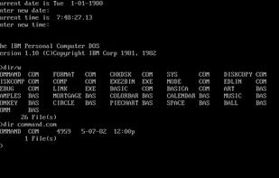IBM PC DOS screenshot 1