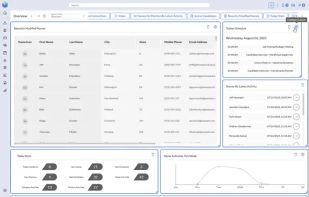 Flexible widget-based layouts