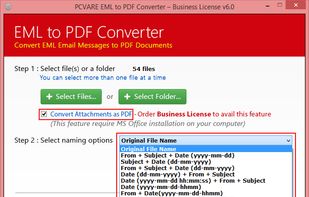 Choose from File Naming Options