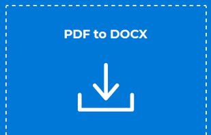 PDF 2 DOCX screenshot 1