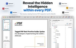 PDF Auditor screenshot 1