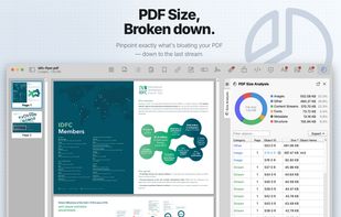 PDF Auditor screenshot 3