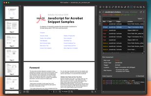 Javascript Inspection