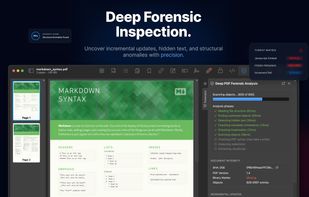PDF Auditor screenshot 1