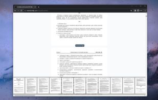  Download individual pages