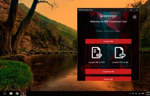 PDF Conversion Tool screenshot 1
