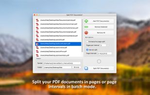 PDF Plus screenshot 1