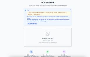 Configure PDF-to-EPUB conversion modes, language options and batch uploads.