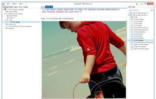 PDFGears screenshot 1